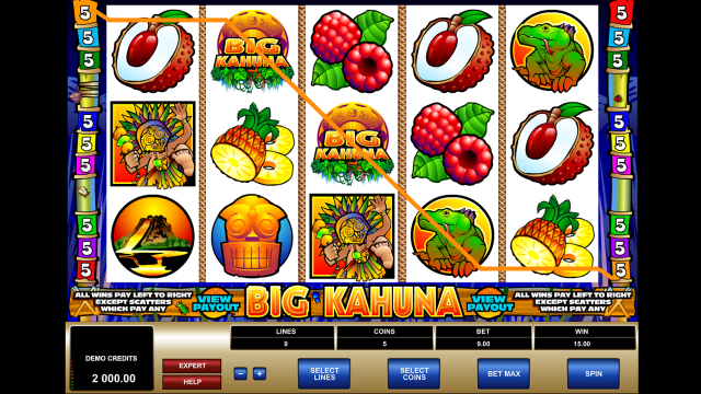 Big Kahuna - скриншот 7